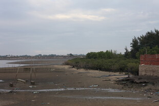 河岸风景