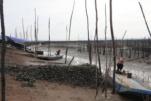 海边渔村码头景象