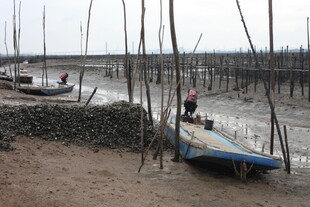 海边渔村的渔船与劳作场景