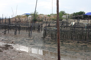 海边简易木质养殖设施