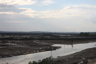 黄昏下蜿蜒的河岸景观