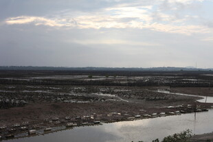 俯瞰广袤水域与开阔大地