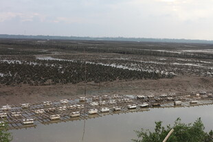 湿地景观中的船只与滩涂