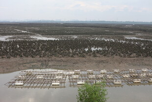 水上建筑群景观