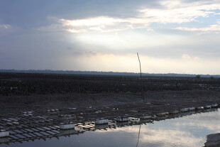 城市天际线与逆光建筑景观