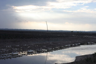 黄昏下的宁静水域景观