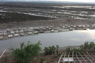 海边渔村停泊众多船只