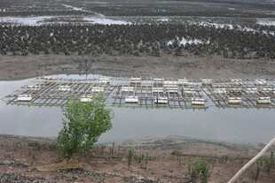 湖畔码头建筑群景观