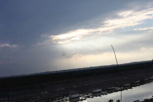 夕阳下的河畔风景