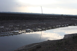 黄昏下的静谧水边景象