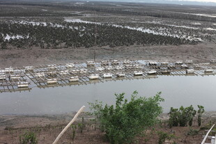 河畔停泊船只的宁静景象