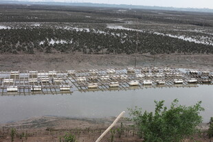 河畔停泊的船只景观