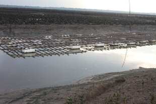 河畔停泊船只景象