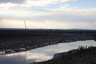 黄昏下的河畔风光