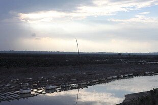 河畔风车与开阔景致