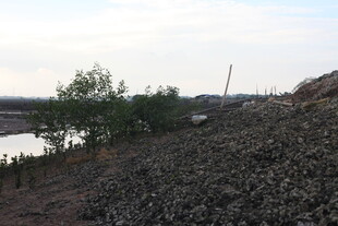 河岸碎石与绿树景观