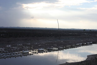 夕阳下的水域与远处风车
