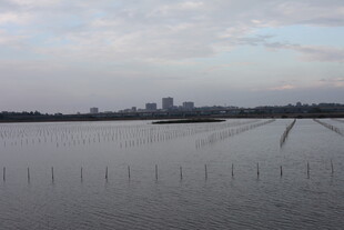 湖畔城市远景 水域风光