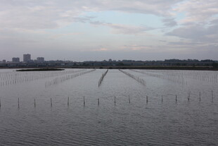 河畔风景水面与远处城市