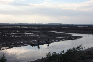 黄昏下的宁静河岸风光