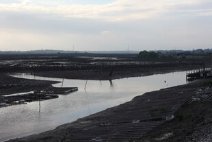 湿地景观 水域与泥滩交织