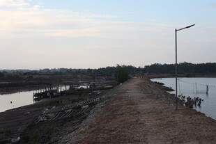 乡村河边的土路与路灯
