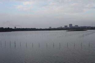 宁静湖面与远处城市景观