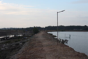 湖畔土路 静谧自然风光