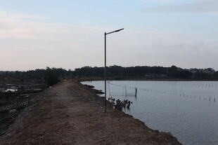 湖畔小路 静谧自然风光