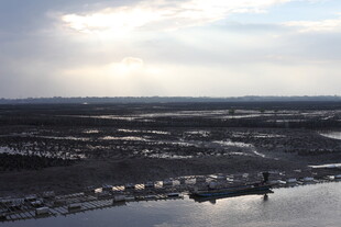 城市水域上空的开阔景象