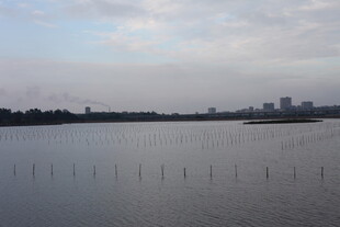 湖畔远景 城市与水域相映