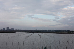 水域风光与远处城市景观