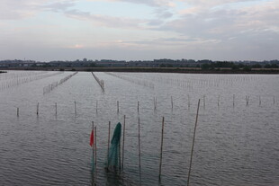 水域中的养殖设施景观