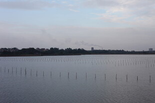 宁静湖面与远处天际线