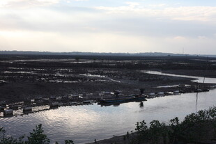 黄昏下的湿地水域景观