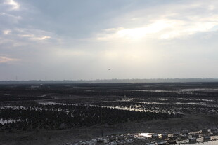 广袤原野上的天光云影