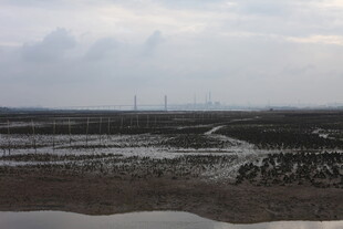 湿地风光 水域与滩涂景致