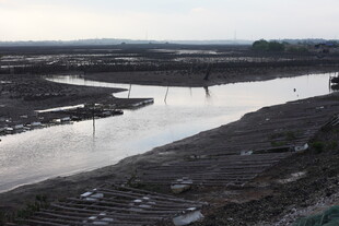 河岸景象 湿地与水域景观
