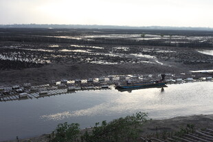 湿地风光 一人独赏美景
