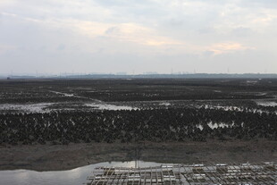 俯瞰广袤湿地与天际线