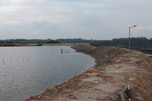 乡村水域旁的土堤景象