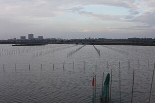 江边景致 水面与远处建筑