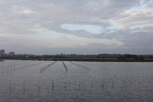 水田风光 天际云霞相映