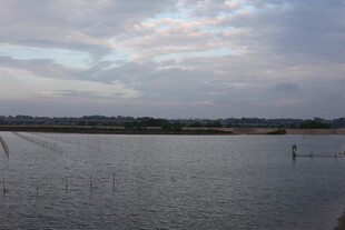 宁静水域与天边云彩景观