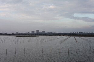 水域风光与远处城市景观