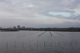 湖畔远景 水域与城市天际线