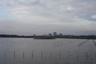 广阔水域与远处城市景象