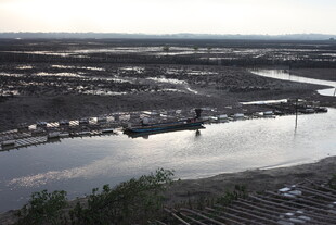 黄昏下的湿地景观