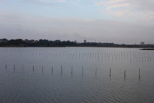 宁静湖面与远处天际线