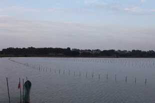 宁静湖畔的黄昏景致